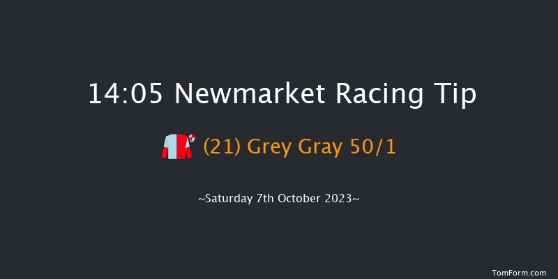 Newmarket 14:05 Stakes (Class 2) 6f Sat 30th Sep 2023
