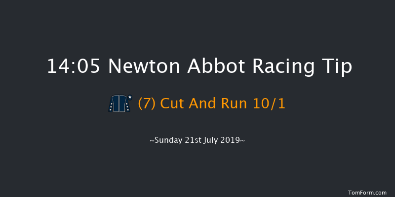 Newton Abbot 14:05 Maiden Hurdle (Class 3) 22f Fri 5th Jul 2019
