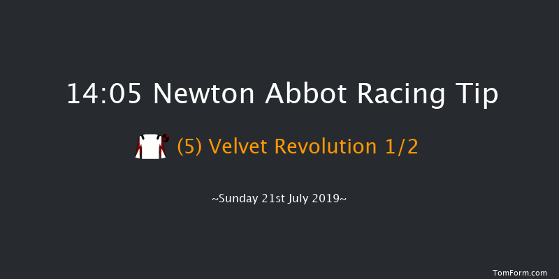 Newton Abbot 14:05 Maiden Hurdle (Class 3) 22f Fri 5th Jul 2019