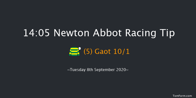Racing Partnership Mares' Handicap Hurdle Newton Abbot 14:05 Handicap Hurdle (Class 5) 17f Tue 1st Sep 2020