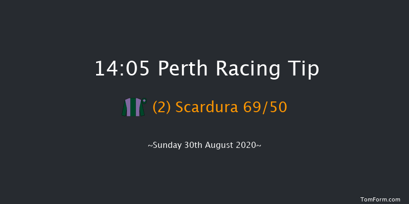 bet365 Novices' Handicap Chase (GBB Race) Perth 14:05 Handicap Chase (Class 3) 16f Tue 11th Aug 2020