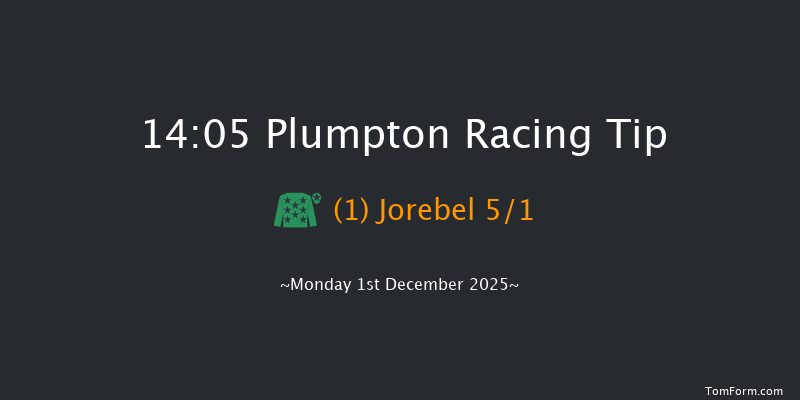 Plumpton 14-05 (Class 4) 16f Mon 17th Nov 2025