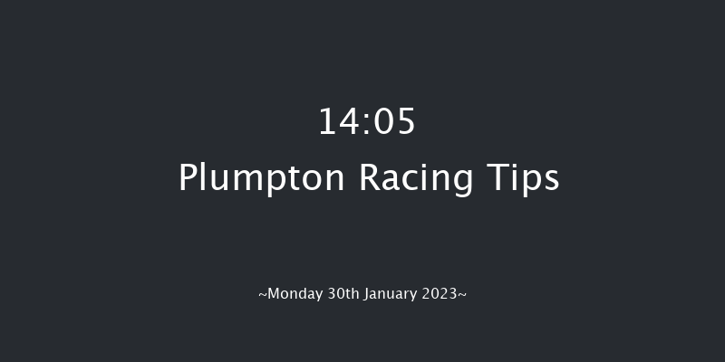 Plumpton 14:05 Handicap Chase (Class 5) 17f Mon 2nd Jan 2023