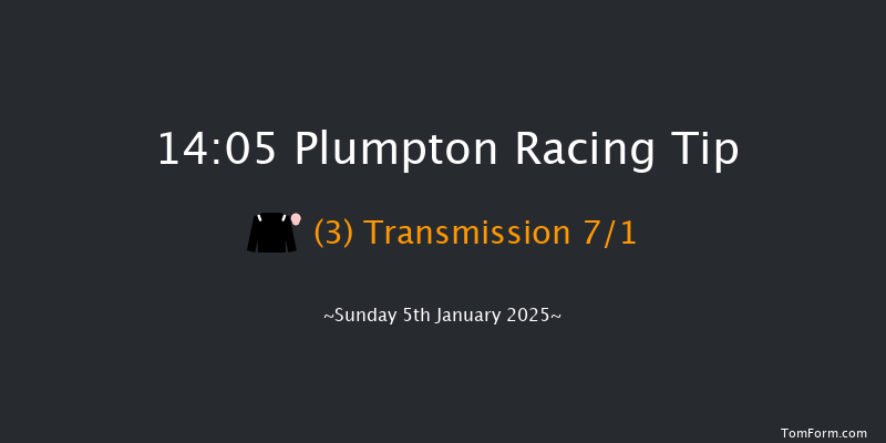 Plumpton  14:05 Handicap Hurdle (Class 2) 25f Mon 16th Dec 2024