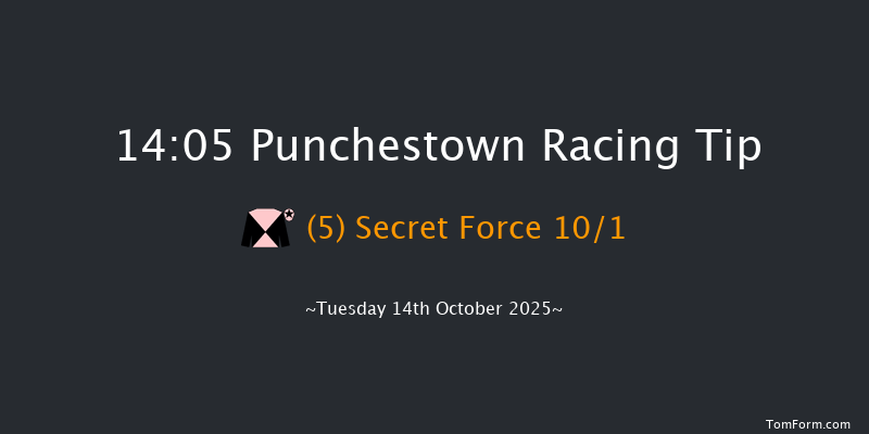 Punchestown 14-05 16f Tue 16th Sep 2025