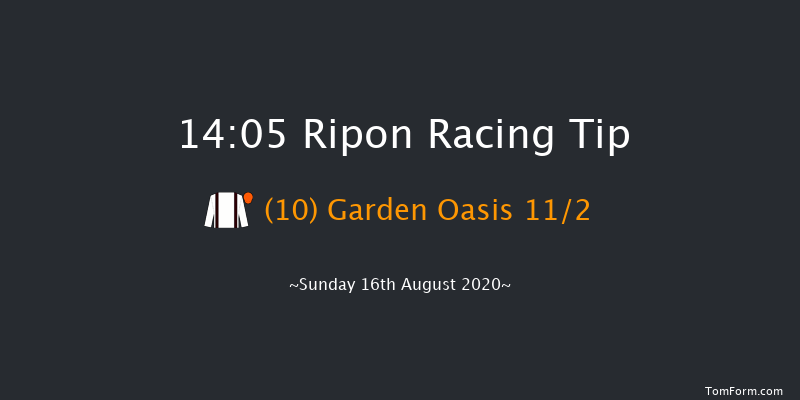 WilliamHill.com Best Odds Guaranteed Handicap Ripon 14:05 Handicap (Class 3) 8f Thu 6th Aug 2020