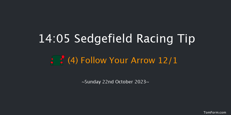 Sedgefield 14:05 Handicap Chase (Class 5) 21f Wed 11th Oct 2023