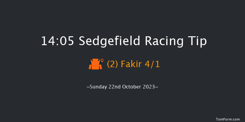 Sedgefield 14:05 Handicap Chase (Class 5) 21f Wed 11th Oct 2023