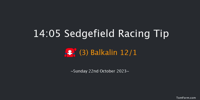 Sedgefield 14:05 Handicap Chase (Class 5) 21f Wed 11th Oct 2023