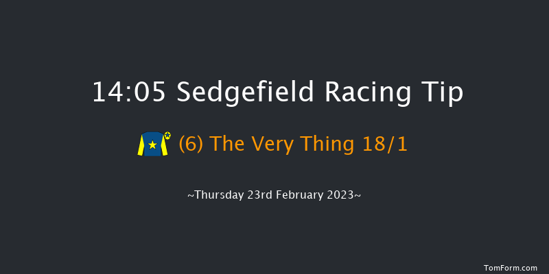 Sedgefield 14:05 Handicap Chase (Class 5) 27f Sun 29th Jan 2023