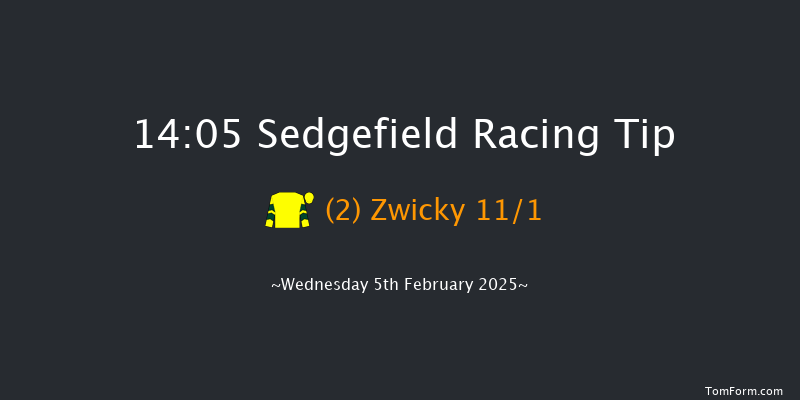 Sedgefield  14:05 Handicap Hurdle (Class 5) 27f Sun 26th Jan 2025
