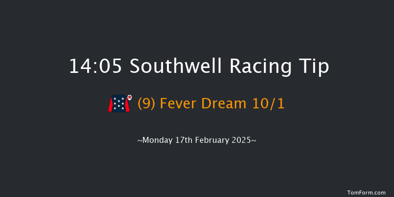 Southwell  14:05 Handicap Chase (Class 4) 20f Sat 15th Feb 2025