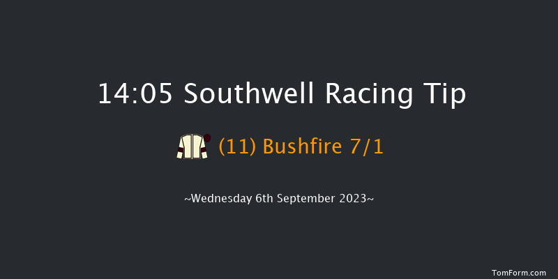 Southwell 14:05 Handicap (Class 5) 8f Mon 28th Aug 2023