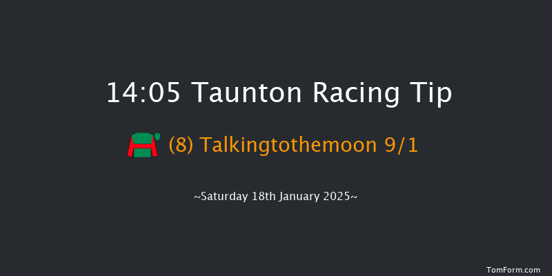 Taunton  14:05 Handicap Hurdle (Class 5) 24f Wed 8th Jan 2025