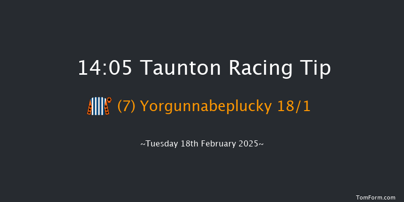 Taunton  14:05 Handicap Hurdle (Class 5) 19f Tue 4th Feb 2025
