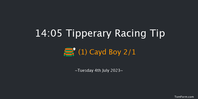 Tipperary 14:05 Maiden Chase 17f Tue 30th May 2023