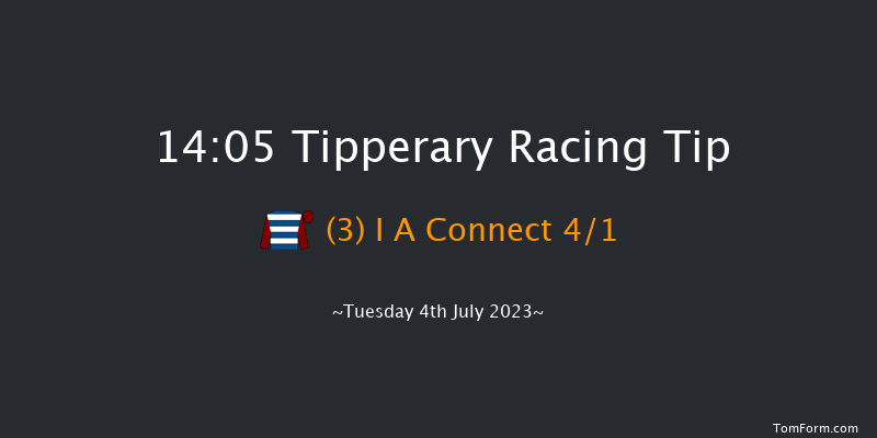 Tipperary 14:05 Maiden Chase 17f Tue 30th May 2023