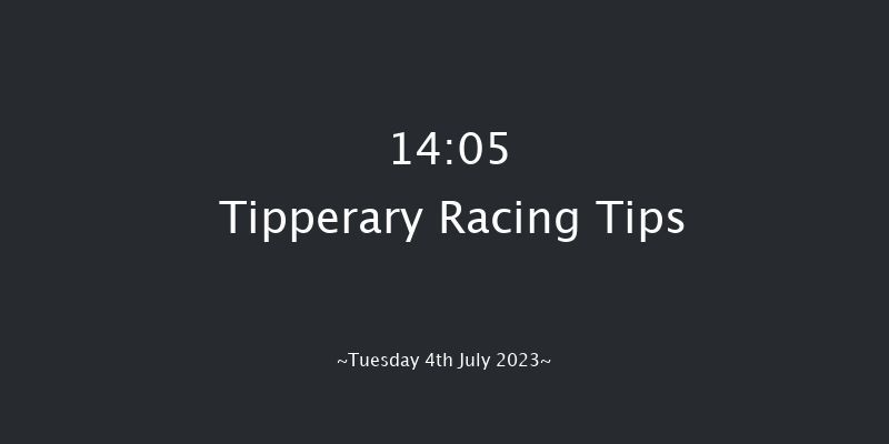 Tipperary 14:05 Maiden Chase 17f Tue 30th May 2023