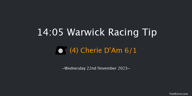 Warwick 14:05 Novices Hurdle (Class 4) 21f Wed 8th Nov 2023