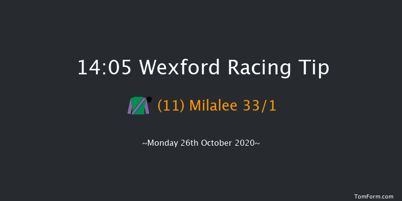 Dan & May Arnold Memorial Opportunity Handicap Hurdle (80-109) Wexford 14:05 Handicap Hurdle 16f Sun 25th Oct 2020