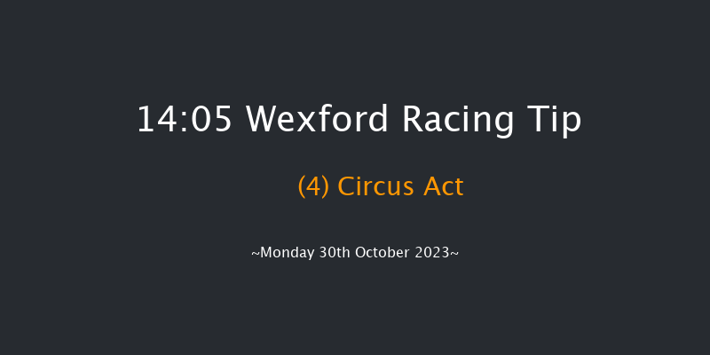 Wexford 14:05 Handicap Hurdle 16f Sun 29th Oct 2023