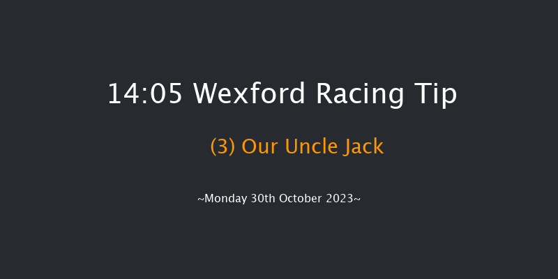 Wexford 14:05 Handicap Hurdle 16f Sun 29th Oct 2023