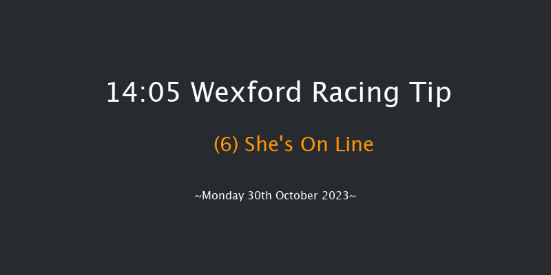 Wexford 14:05 Handicap Hurdle 16f Sun 29th Oct 2023