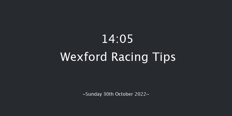 Wexford 14:05 Conditions Hurdle 21f Sat 3rd Sep 2022