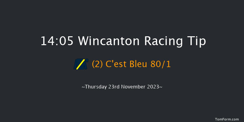 Wincanton 14:05 Maiden Hurdle (Class 4) 15f Sat 11th Nov 2023