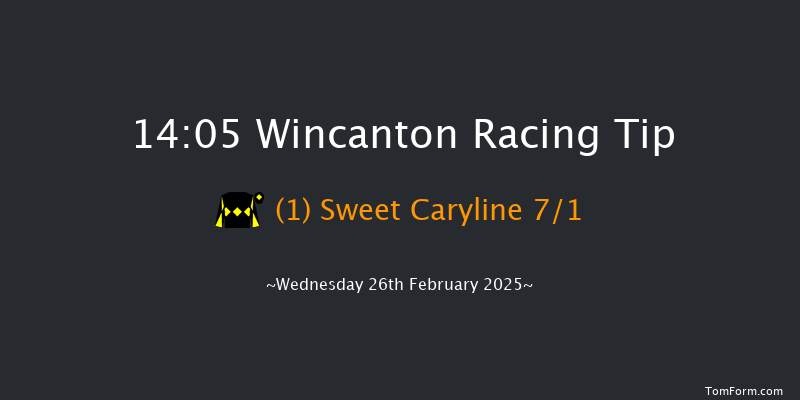 Wincanton  14:05 Handicap Hurdle (Class 5) 15f Sat 15th Feb 2025