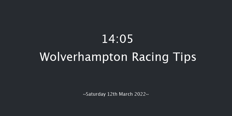 Wolverhampton 14:05 Handicap (Class 2) 9f Fri 11th Mar 2022