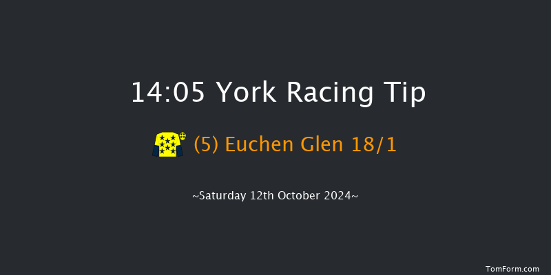 York  14:05 Handicap (Class 2) 10f Fri 11th Oct 2024
