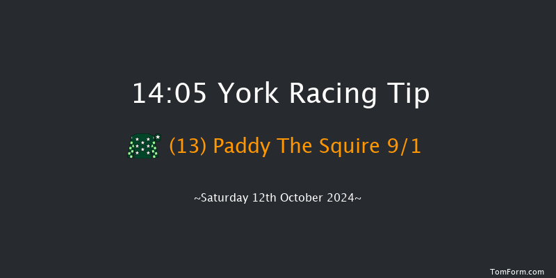 York  14:05 Handicap (Class 2) 10f Fri 11th Oct 2024