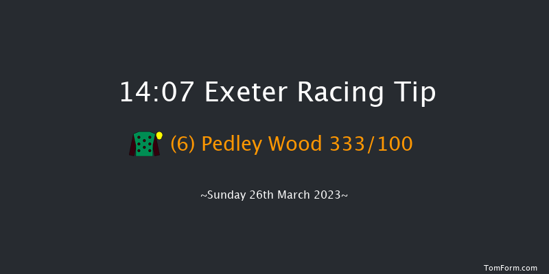 Exeter 14:07 Handicap Hurdle (Class 4) 18f Fri 10th Mar 2023