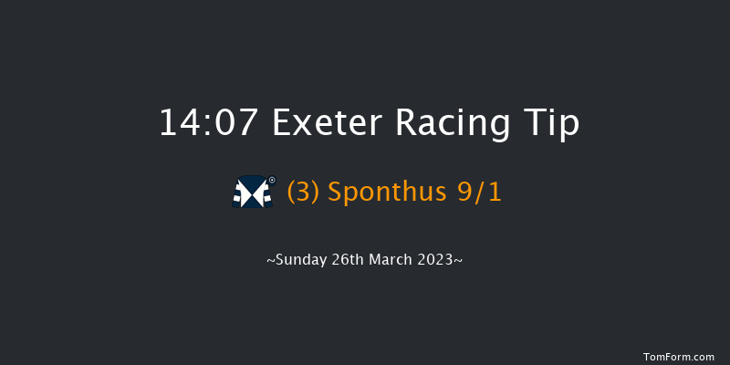 Exeter 14:07 Handicap Hurdle (Class 4) 18f Fri 10th Mar 2023