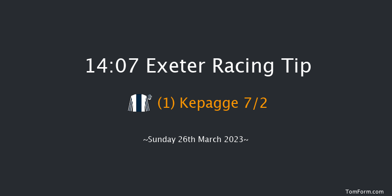 Exeter 14:07 Handicap Hurdle (Class 4) 18f Fri 10th Mar 2023