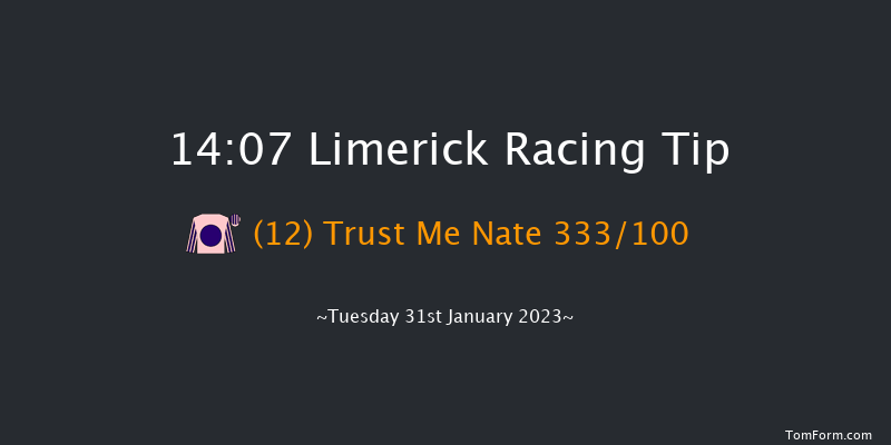 Limerick 14:07 Maiden Hurdle 16f Thu 29th Dec 2022