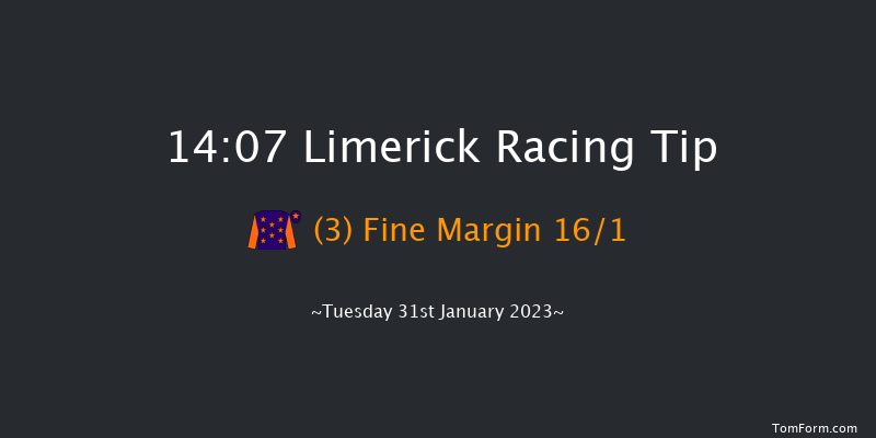 Limerick 14:07 Maiden Hurdle 16f Thu 29th Dec 2022