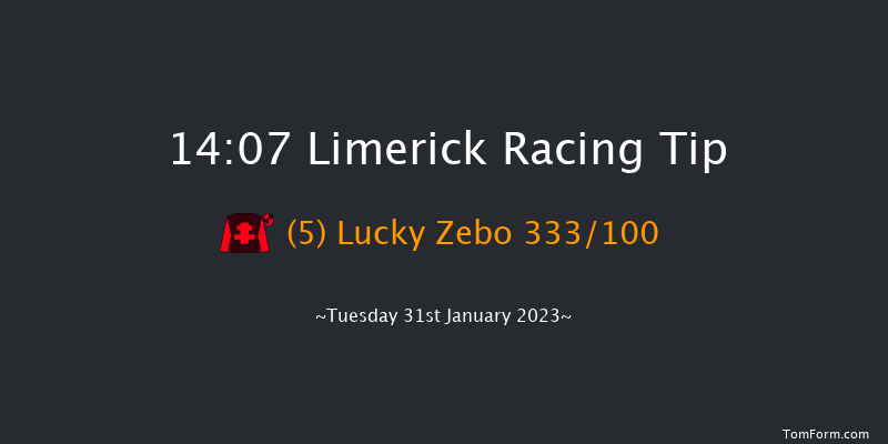 Limerick 14:07 Maiden Hurdle 16f Thu 29th Dec 2022