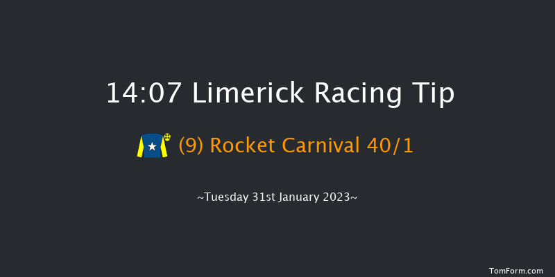 Limerick 14:07 Maiden Hurdle 16f Thu 29th Dec 2022