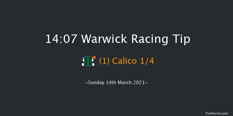 MansionBet Faller Insurance Novices' Hurdle (Div 2) Warwick 14:07 Maiden Hurdle (Class 4) 16f Fri 26th Feb 2021