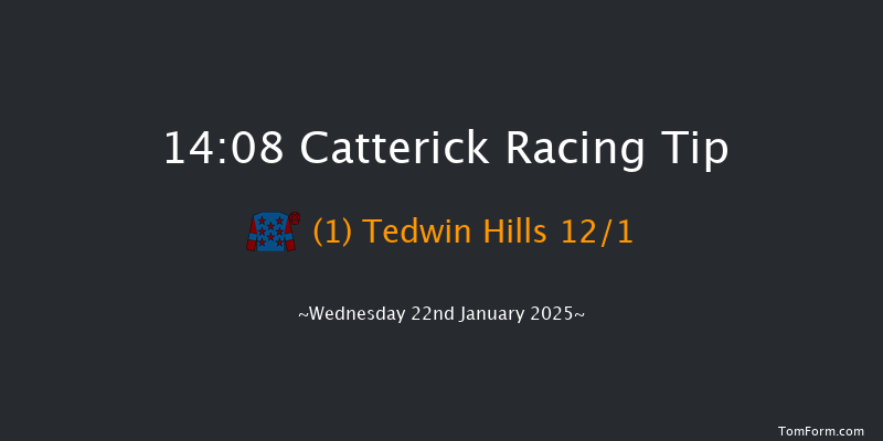 Catterick  14:08 Handicap Chase (Class 5) 25f Wed 1st Jan 2025