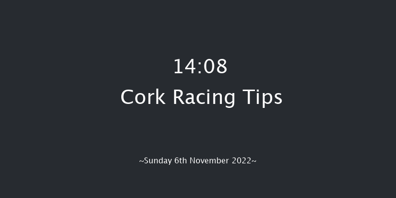 Cork 14:08 Maiden Hurdle 24f Sun 16th Oct 2022