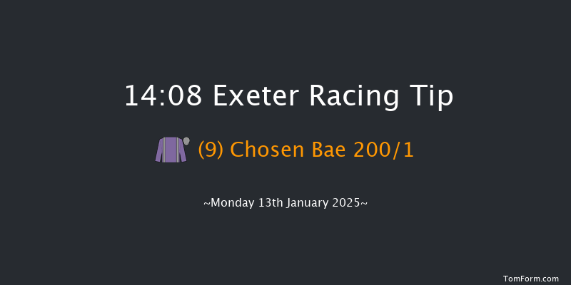 Exeter  14:08 Maiden Hurdle (Class 4) 17f Wed 1st Jan 2025