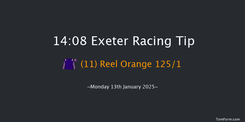Exeter  14:08 Maiden Hurdle (Class 4) 17f Wed 1st Jan 2025
