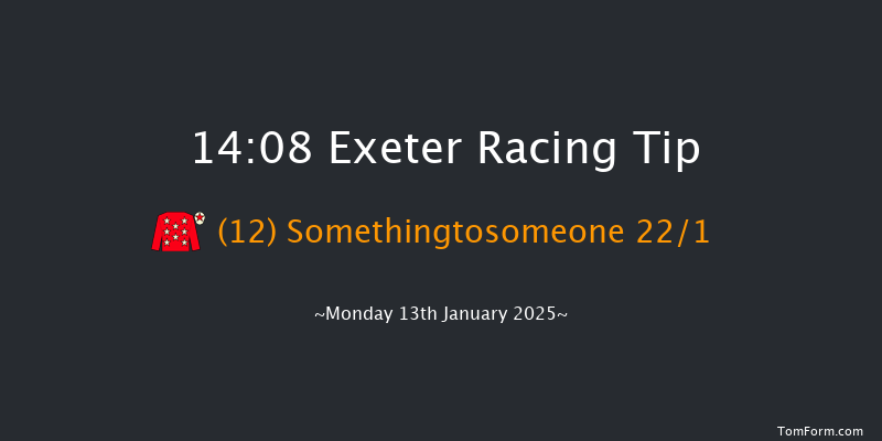 Exeter  14:08 Maiden Hurdle (Class 4) 17f Wed 1st Jan 2025