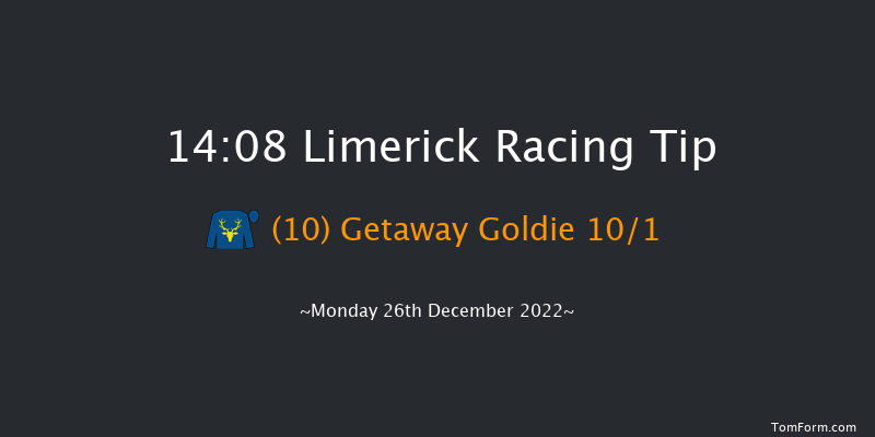 Limerick 14:08 Handicap Hurdle 20f Tue 22nd Nov 2022