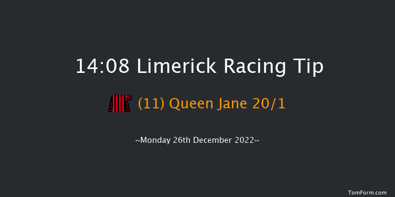 Limerick 14:08 Handicap Hurdle 20f Tue 22nd Nov 2022