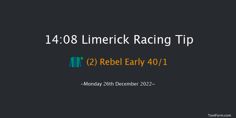 Limerick 14:08 Handicap Hurdle 20f Tue 22nd Nov 2022