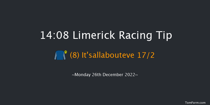 Limerick 14:08 Handicap Hurdle 20f Tue 22nd Nov 2022